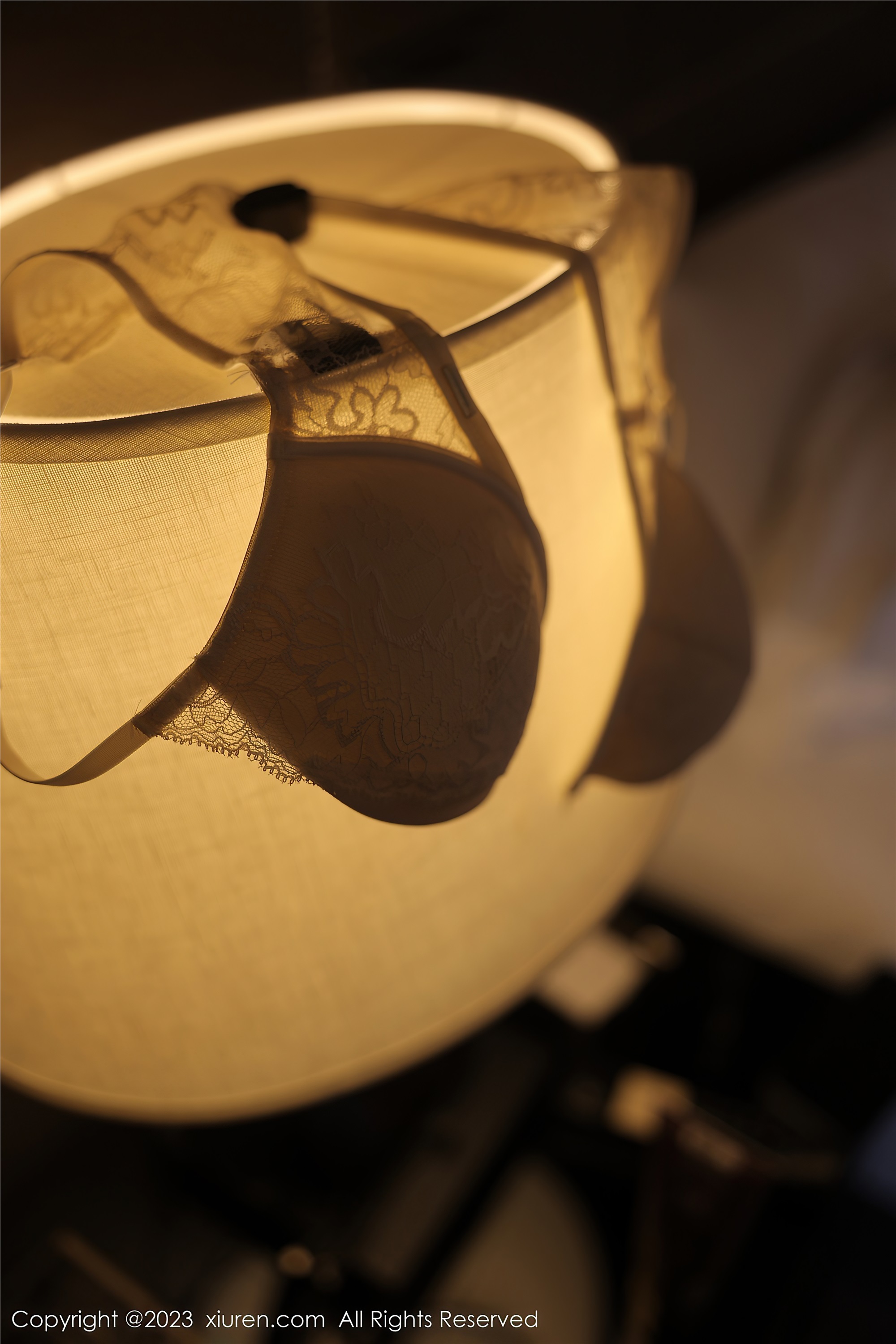 XiuRen秀人网  2023.02.20 NO.6290 yoo优优